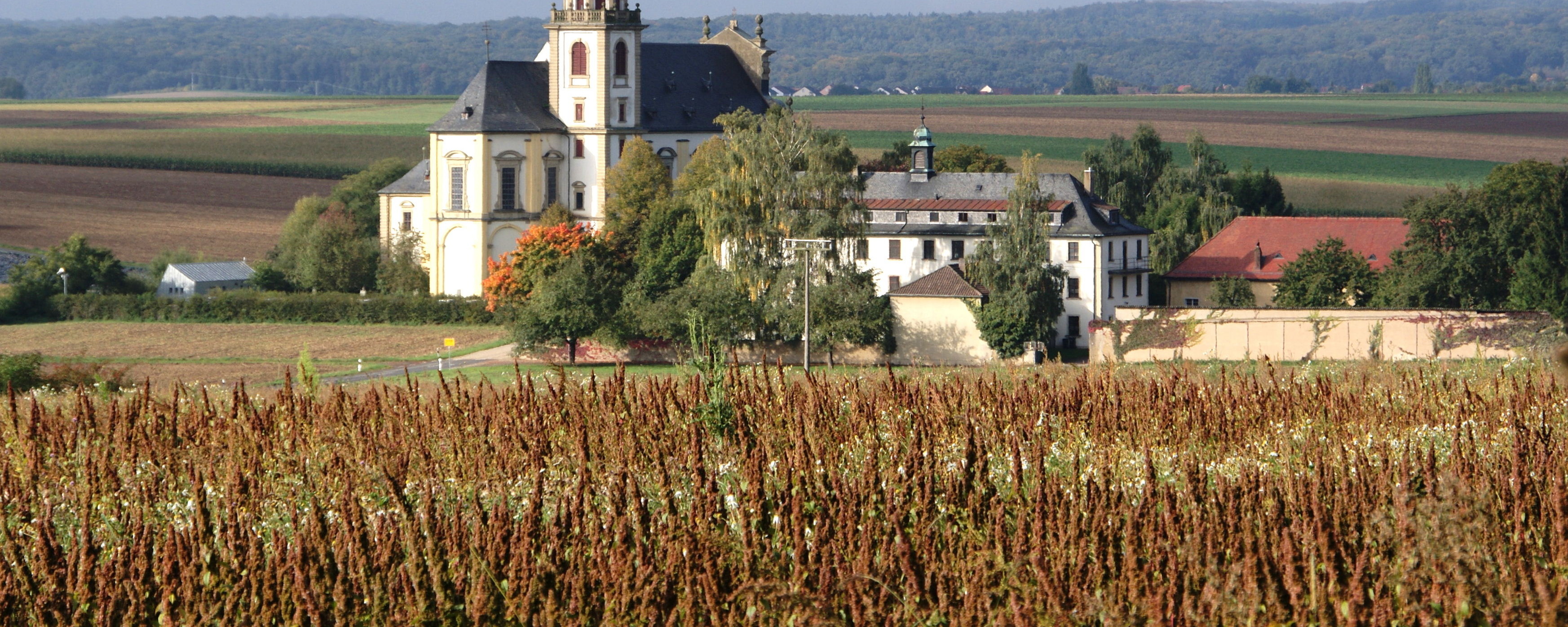 Die Wallfahrtskirche Fährbrück von Nordosten aus gesehen aus der Ferne. Neben der Wallfahrskirche ist das ehemalige Klostergebäude. Im Vordergrund sind Felder.